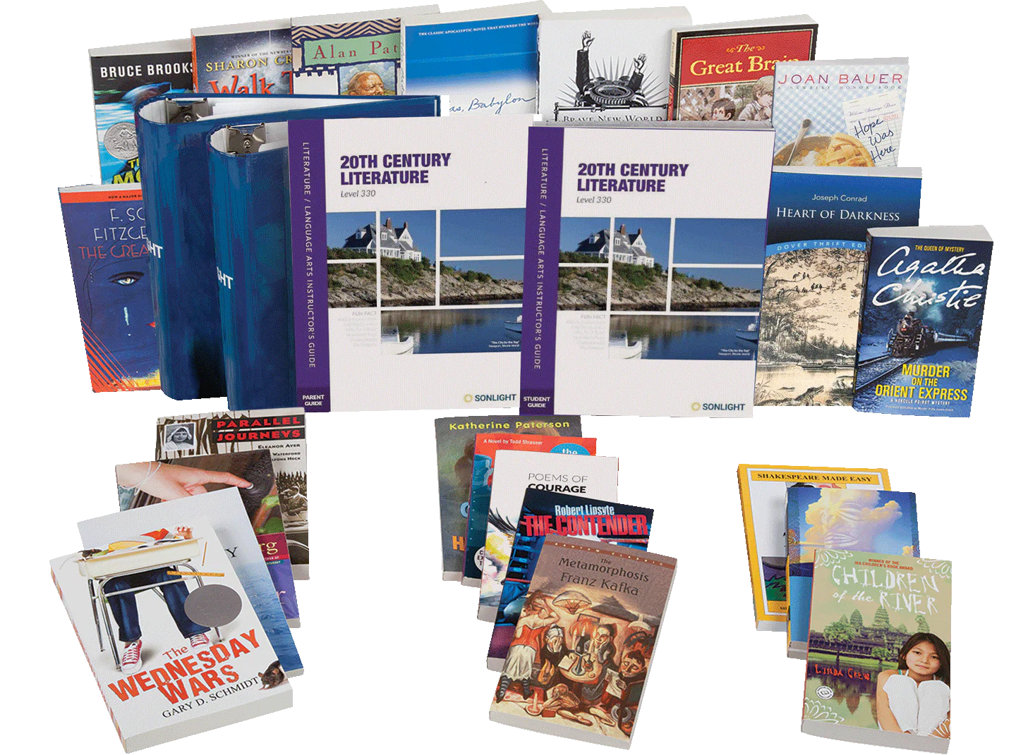 Literature/Language Arts Courses